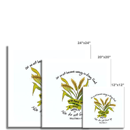 Harvest in Due Season - Galatians  6:9 | Fine Art Print